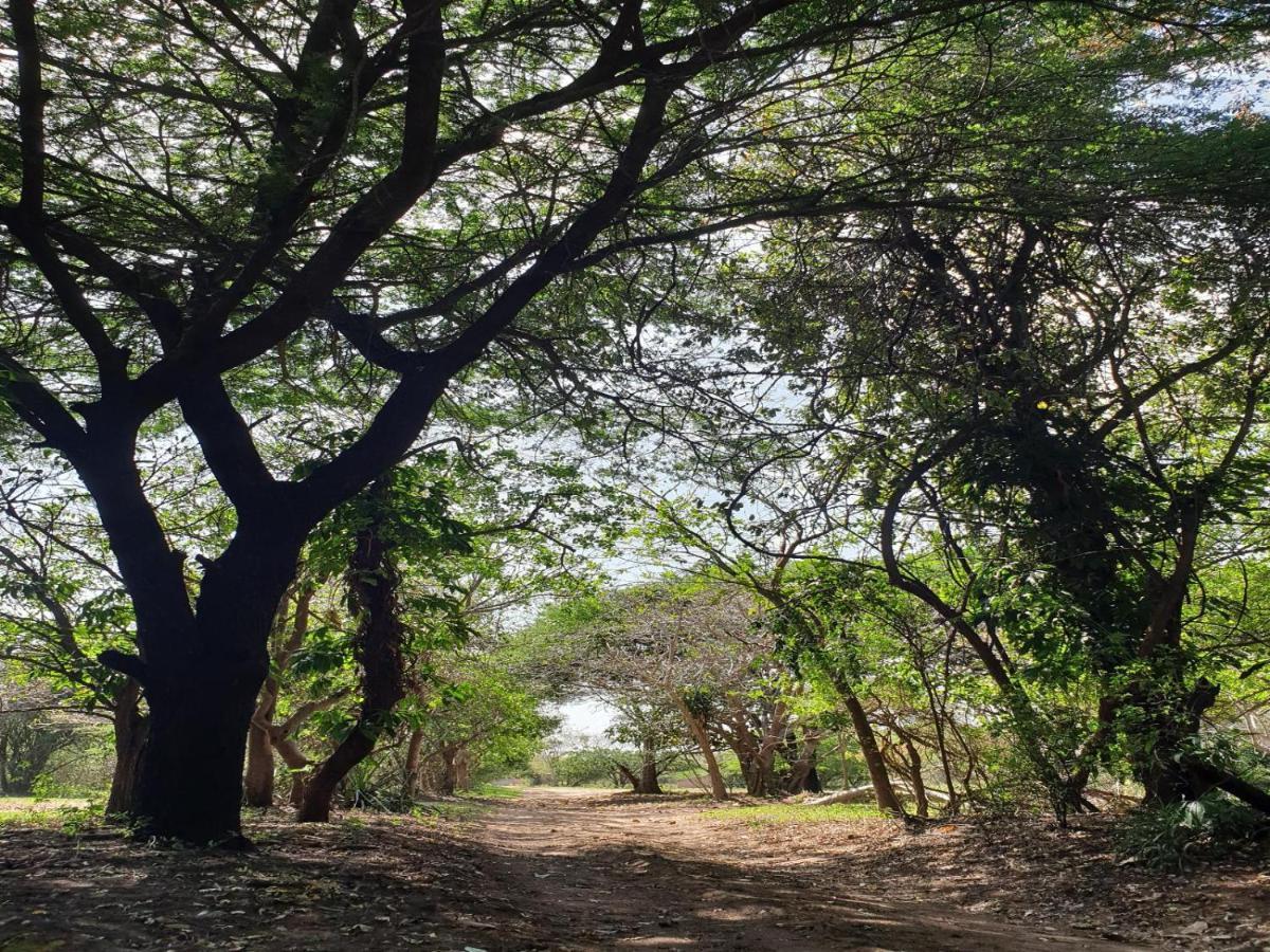 Pumusa Bushcamp Hluhluwe Exteriér fotografie